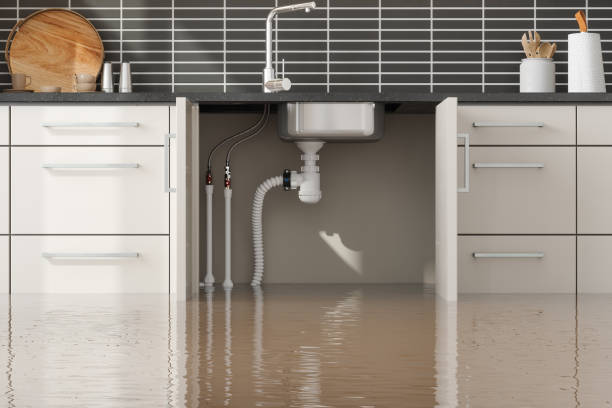 Best Basement Water Damage Restoration in Breckenridge, MN